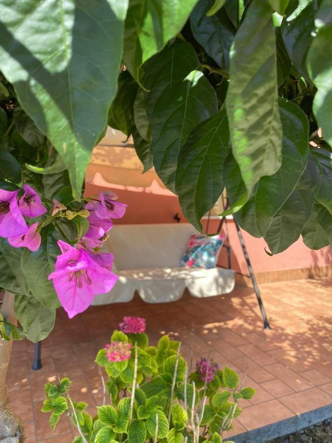 B&B Santa Lucia Silvi Paese Exterior foto